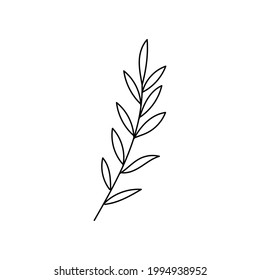 Hand drawn line drawing of a leaf. Vector illustration