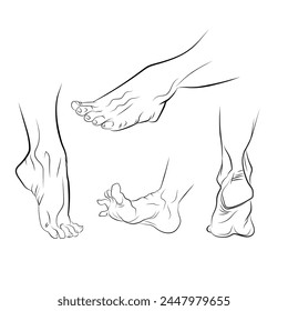Hand drawn line drawing, Vector illustration of human feet, Man feet vector sketches