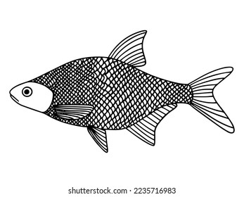 Hand drawn line element. Fish doodle style, great design for any purposes.