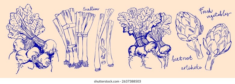 Hand drawn line food illustration vector. Vegetables and herbs, spices. Farm food. Healthy eating