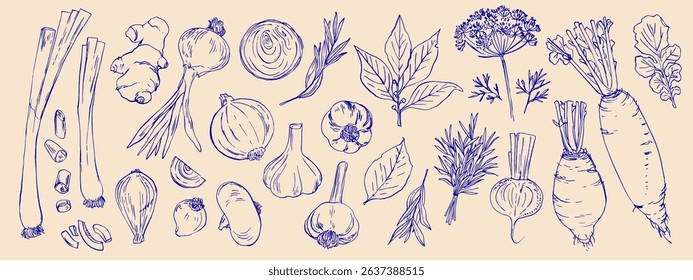 Hand drawn line food illustration vector. Vegetables and herbs, spices. Farm food. Healthy eating