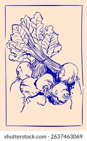 Hand drawn line food illustration vector. Blue line poster on beige background. Elegant design for kitchen. Farmers Market, Vegetables and Herbs