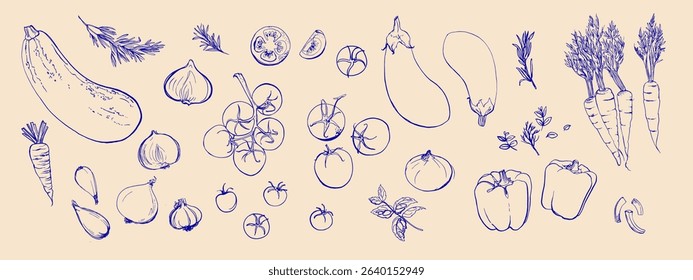 Hand drawn line food illustration vector. Vegetables and herbs, spices. Farm food. Healthy eating