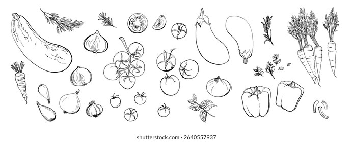 Hand drawn line food illustration vector. Vegetables and herbs, spices. Farm food. Healthy eating