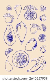 Hand drawn line food illustration vector. Blue line poster on beige background. Elegant design for kitchen