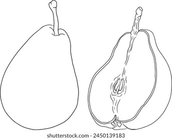 Hand drawn, line fresh pears. Pear outline drawing for coloring pages, label, poster, print