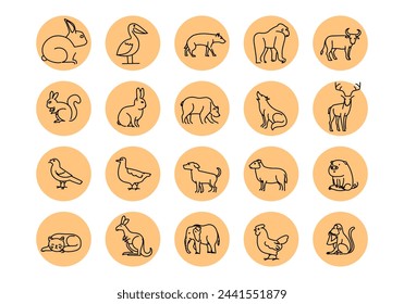 Hand drawn line icon wild animals collection set vector illustration. Wildlife isolated on white background.