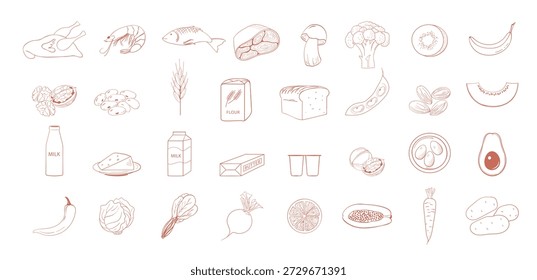 Hand drawn line icons set of food from different nutrition groups for healthy diet. Meat fish dairy grains fruits vegetables nuts. Minimal outline style isolated on white.