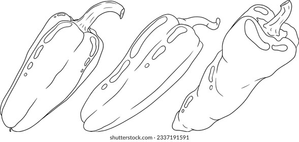 Hand drawn line illustration of different types of pepper. Bell sweet peppers, paprika. Vegetables painted with ink on white background. Vector sketch food.