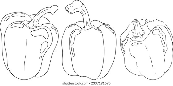 Handgezeichnete Liniendiagramme verschiedener Pfefferarten. Paprika, Paprika. Gemüse mit Tinte auf weißem Hintergrund. Vektorgrafik-Essen.