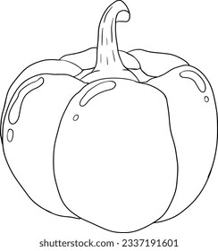 Handgezeichnete Liniendiagramme verschiedener Pfefferarten. Paprika, Paprika. Gemüse mit Tinte auf weißem Hintergrund. Vektorgrafik-Essen.