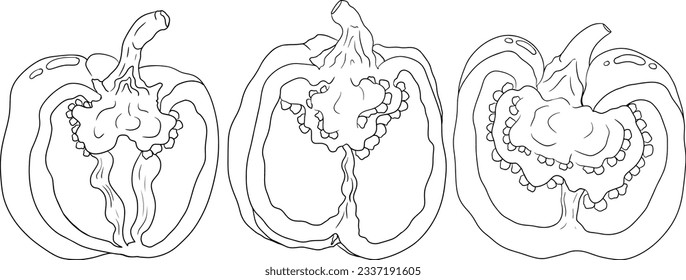 Ilustración de línea dibujada a mano de diferentes tipos de pimienta. Pelucas dulces, paprika. Verduras pintadas con tinta sobre fondo blanco. Comida de boceto vectorial.