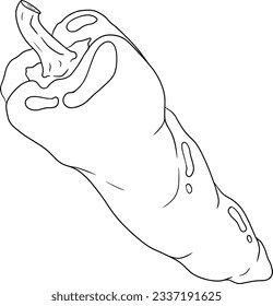 Hand drawn line illustration of different types of pepper. Bell sweet peppers, paprika. Vegetables painted with ink on white background. Vector sketch food.