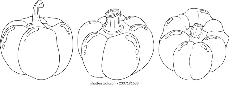 Hand drawn line illustration of different types of pepper. Bell sweet peppers, paprika. Vegetables painted with ink on white background. Vector sketch food.