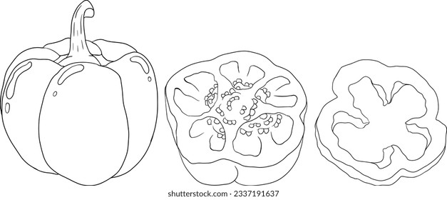 Handgezeichnete Liniendiagramme verschiedener Pfefferarten. Paprika, Paprika. Gemüse mit Tinte auf weißem Hintergrund. Vektorgrafik-Essen.