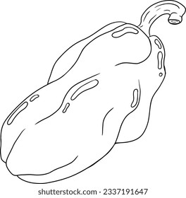 Handgezeichnete Liniendiagramme verschiedener Pfefferarten. Paprika, Paprika. Gemüse mit Tinte auf weißem Hintergrund. Vektorgrafik-Essen.