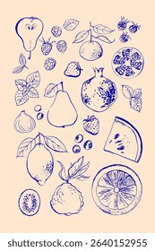 Hand drawn line illustration food vector. Fruits and berries. Farm food. Healthy eating	