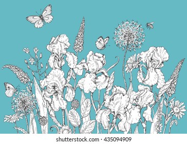 Hand drawn line illustration with iris, wildflowers and insects. Black and white doodle wild flowers, bees and butterflies on blue background. Floral elements for decoration. Vector sketch.