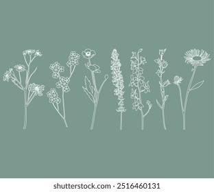 Handgezeichnete Linie verlässt Äste und blüht. Blumen und trendige botanische Elemente