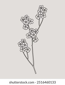 Hand drawn line leaves branches and blooming. flowers and trendy botanical elements