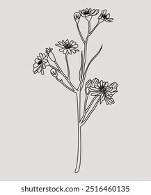 Hand drawn line leaves branches and blooming. flowers and trendy botanical elements