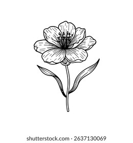 Hand drawn line leaves branches and blooming. Wedding elegant wildflowers for invitation save the date card