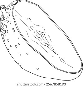 Hand drawn line mango. Tropical fruit vector illustration. Botanical vintage coloring pages