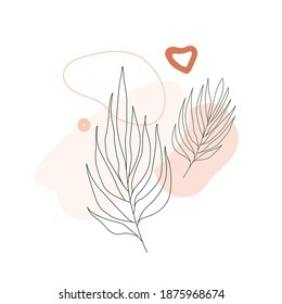 Hand drawn line palm leaf with abstract shapes on white background