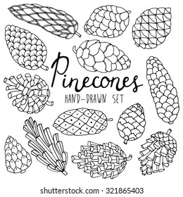 Hand drawn line pine cones set