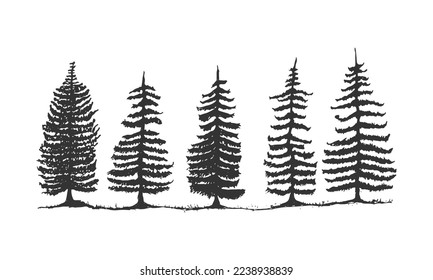 Hand drawn line up pine tree vector illustration. Pen rough sketch drawing of pine tree design concept element.