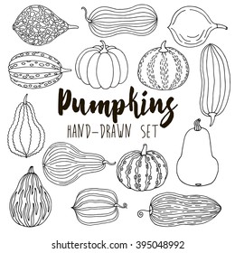 Hand Drawn Line Pumpkin, Squash Set