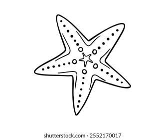 Hand drawn Line sketch starfish doodle. Decorative marine element. Vector illustration