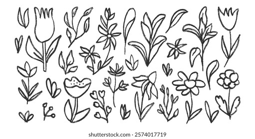 Hand drawn line stroke flowers and leaves set. Charcoal line poppy, tulip, daisy doodle monochrome. Floral outline brush chamomile and marguerite kids chalk shape. Vector black pencil illustration.