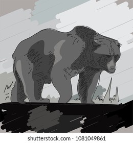 hand drawn line style vector isolated walking painting bear with background. for naturalist style book, map, Biology Guide or other print  