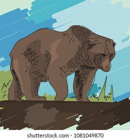 hand drawn line style vector isolated walking painting bear with background. for naturalist style book, map, Biology Guide or other print  