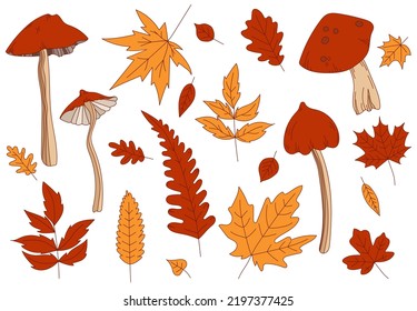 Hand drawn line vector set of various types of mushrooms and autumn leaves oak, maple, birch, foliage orange, yellow and red collection. Colored fall leaf illustration. Flat design. Stamp texture.