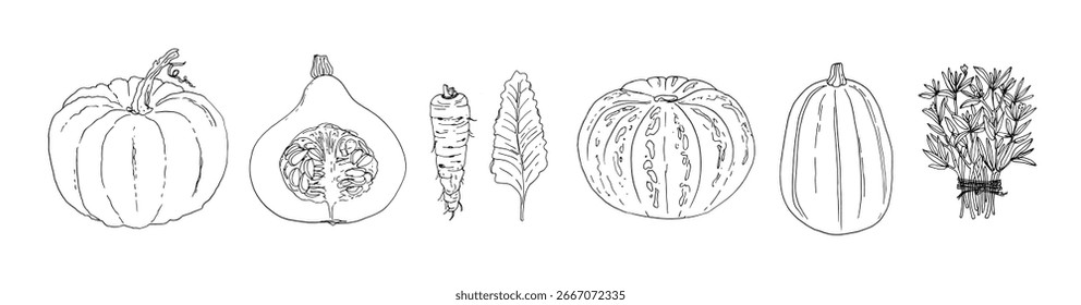 Linha desenhada à mão Vegetais Esboço Estilo Vetor Set