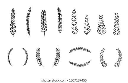 Hand drawn line wheat wreaths, grain spikes and rye ears illustration. 