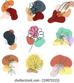 Hand Drawn Line Wild Flower And Abstract Blob Shapes, Modern Floral Template For Posts, Highlights Covers And Stories.