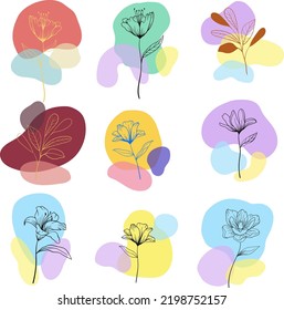 Hand Drawn Line Wild Flower And Abstract Blob Shapes, Modern Floral Template For Posts, Highlights Covers And Stories.