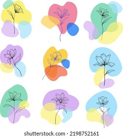 Hand Drawn Line Wild Flower And Abstract Blob Shapes, Modern Floral Template For Posts, Highlights Covers And Stories.