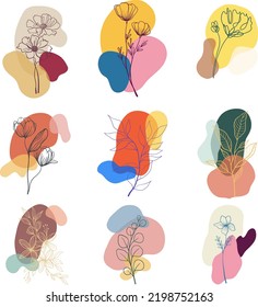 Hand Drawn Line Wild Flower And Abstract Blob Shapes, Modern Floral Template For Posts, Highlights Covers And Stories.