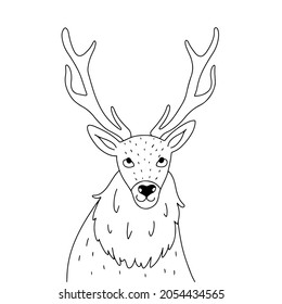 Hand drawn linear deer, drawn in outlined doodle style, isolated on white background vector illustration