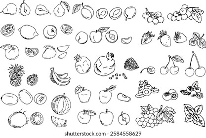 hand drawn linear line art fruits icons set