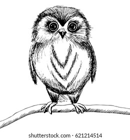 Hand drawn linear owl
