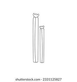 Hand drawn linear vector illustration of a cactus