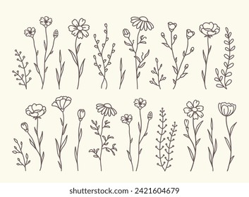 handgezeichnet, lineare Wildblüten, Satz Silhouettes, Lavendel, Äste, Pflanzen und Kräuter mit Blättern, Blumen, Feldgras, Dekorbotanienelemente