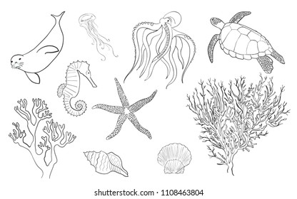 Hand drawn lineart sea life set, vector