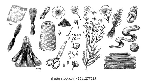 Sementes de linho desenhadas à mão e flor de linho. Ilustração de clipart de vetor. Esboço de linha e tinta. Estilo Vintage desenhado à mão. 