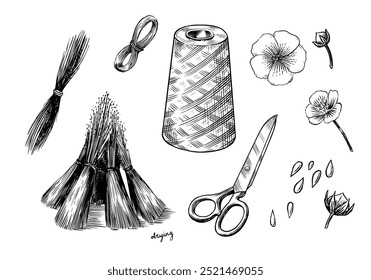 Sementes de linho desenhadas à mão e flor de linho. Ilustração de clipart de vetor. Esboço de linha e tinta. Estilo Vintage desenhado à mão. 